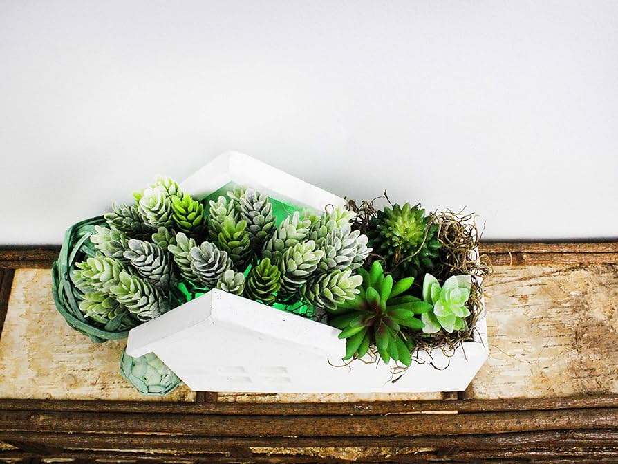 その他多肉植物 Natural 63 [Straightforward, recommended succulents that are healthy